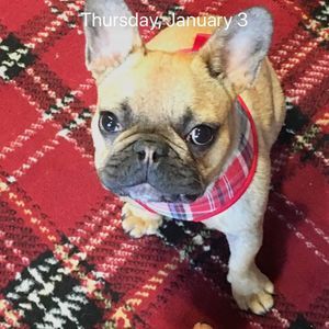 Meet your Posher, Debbie